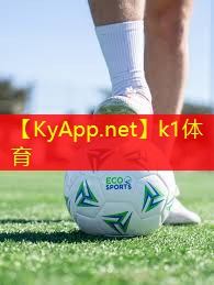K1体育官网：了解塑胶跑道彩色颗粒材质的选择范围