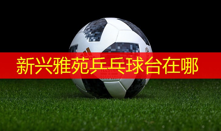 新兴雅苑乒乓球台在哪