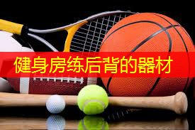 健身房练后背的器材