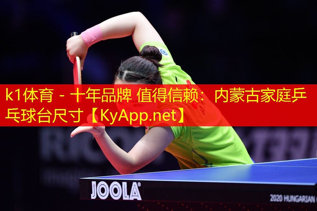内蒙古家庭乒乓球台尺寸